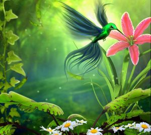 birds-sucking-nectar-lily-softness-beauty-cute-photomanipulation-animals-plants-flowers-hummingbird-creative-pre-colors-nature-beautiful-lovely-green-backgrounds-ivy-leaves-digital-art-desk-736x661