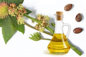 Castor oil - Lifestan