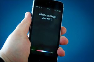 Siri - Lifestan