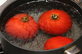 boiling tomatos | lifestan